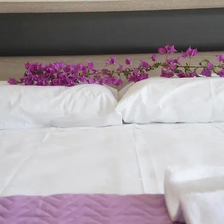 Rodon Loutra Apartment Agia Paraskevi (Kassandra)