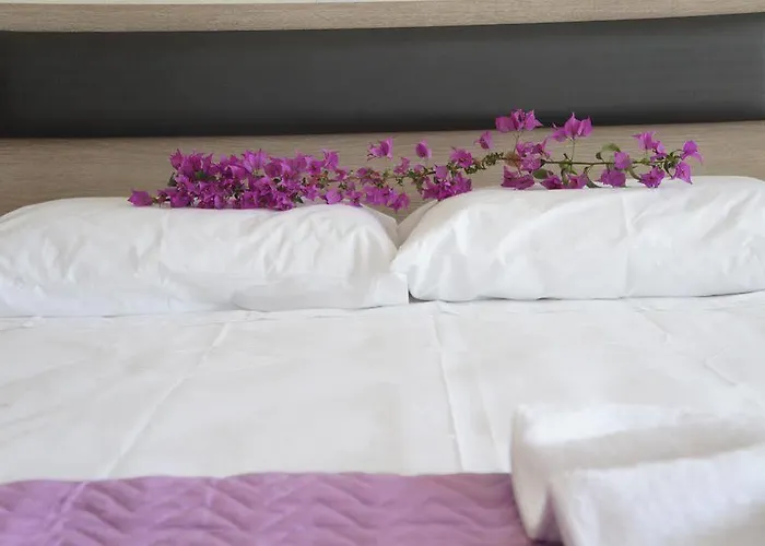 Rodon Loutra Daire Aya Paraskevi